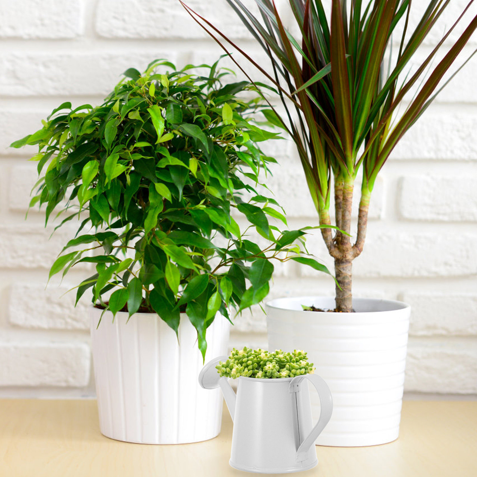 Miniature Iron Watering Can fo - Home Office Bookshelves ulasan dan harga